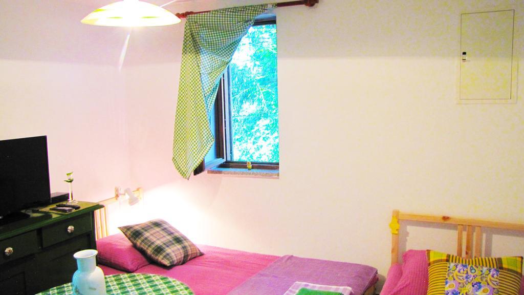 Room Galina Duga Resa Esterno foto